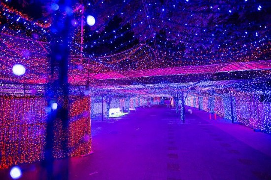 World’s Largest Christmas Lights Display6
