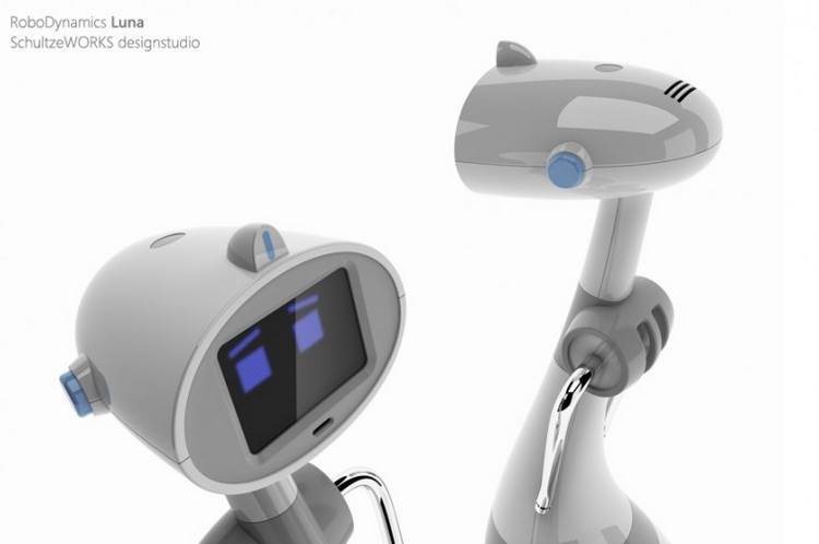 Luna Personal Robot Nearing Manufacturing6