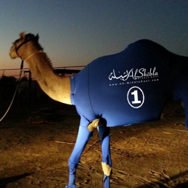 The Camel Suits by Al-Shibla