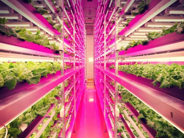 World’s Largest Indoor Farm – Producing 100 Times More