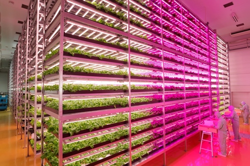 World’s Largest Indoor Farm – Producing 100 Times More2