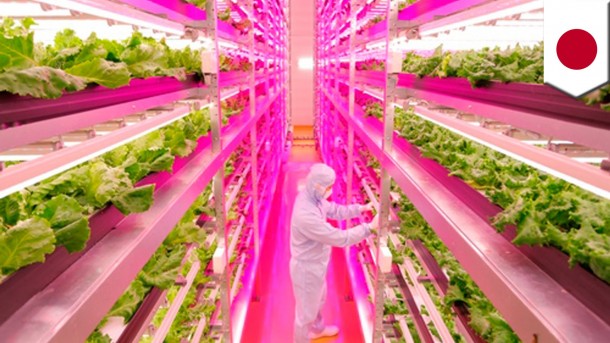 World’s Largest Indoor Farm – Producing 100 Times More3