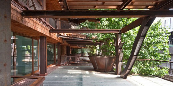 25 Verde Treehouse – Architecture at Its Best!4