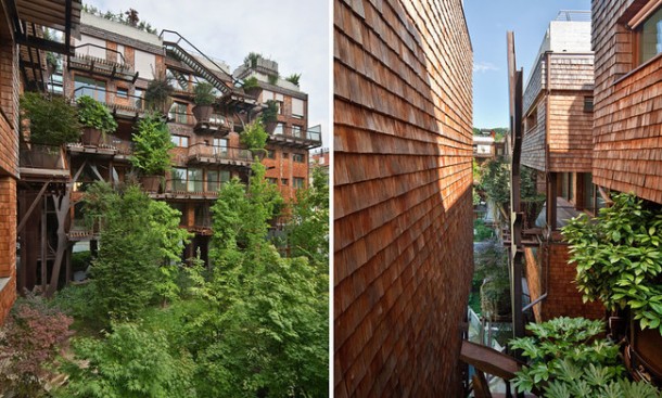 25 Verde Treehouse – Architecture at Its Best!5
