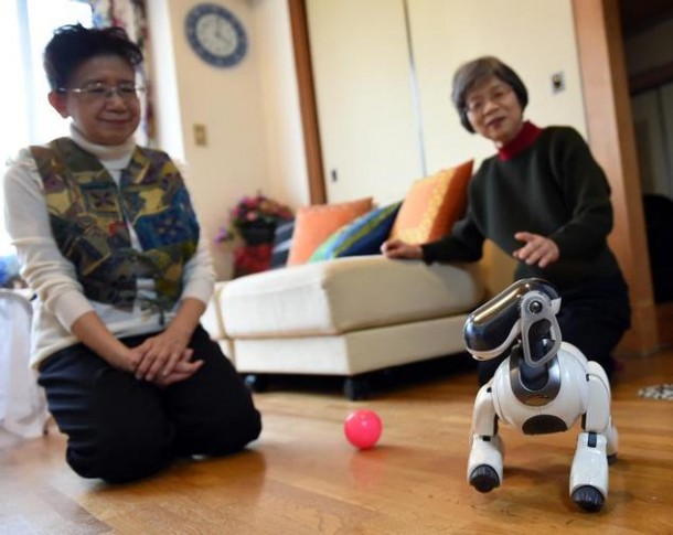AIBO Robot Dog Funeral – Robots in Homes 5
