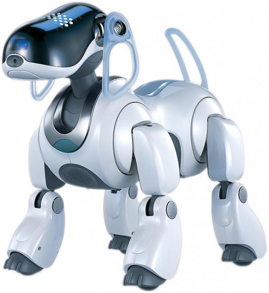 AIBO Robot Dog Funeral – Robots in Homes 3