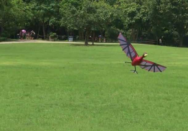 RC Flying Pterodactyl – The Horror and Fun 5