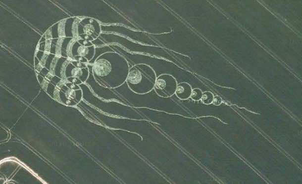 Crop Circles Spotted on Google Maps 2