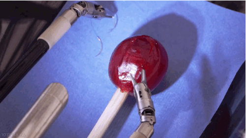 This Robot Performed Surgery And Saved The Wounded Grape 3