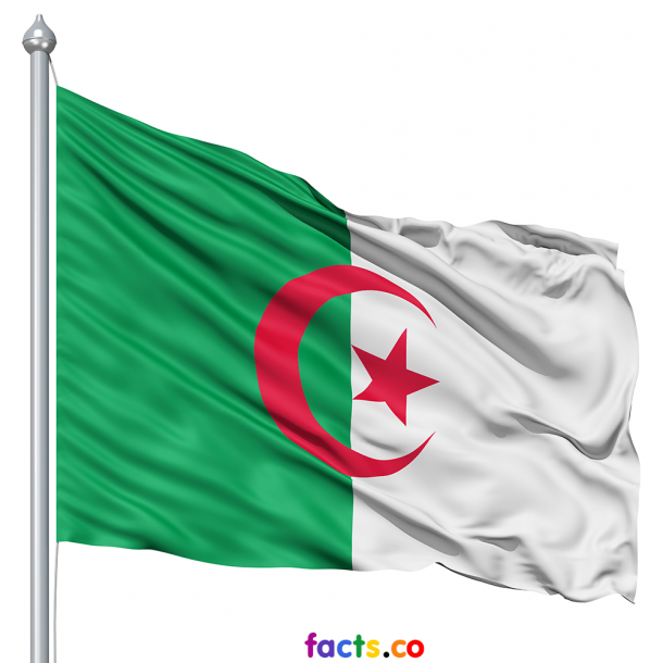 Algeria Flag  (10)
