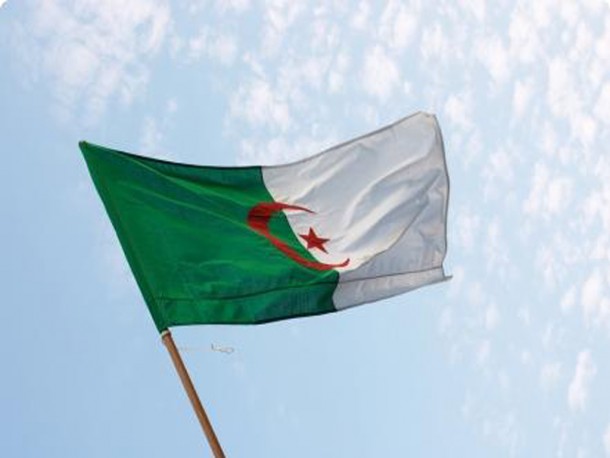Algeria Flag  (11)