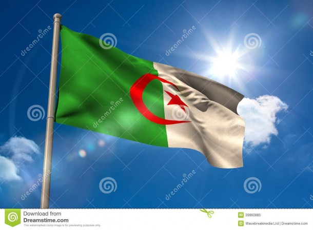 Algeria Flag  (15)