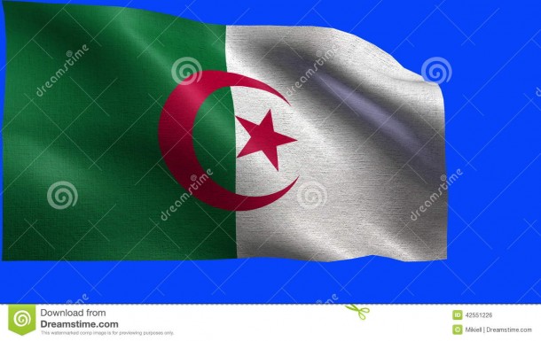 Algeria Flag  (19)