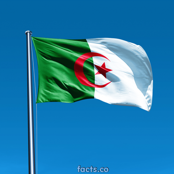 Algeria Flag  (4)