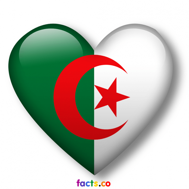 Algeria Flag  (9)