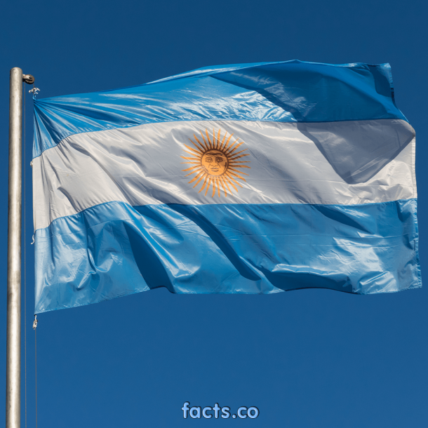 Argentina flag  (3)