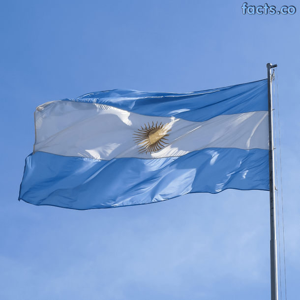 Argentina flag  (6)