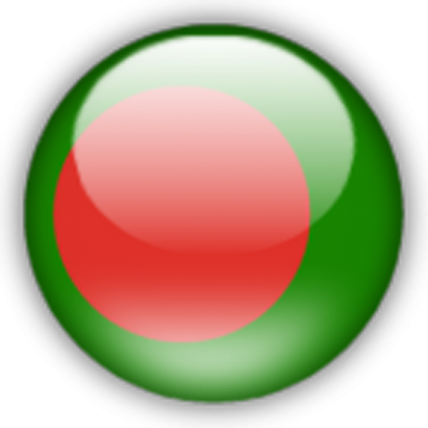Bangladesh Flag  (2)