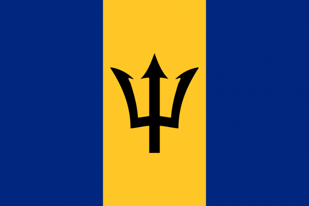 Barbados flag  (12)