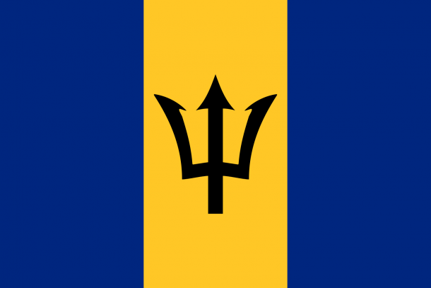 Barbados flag  (13)