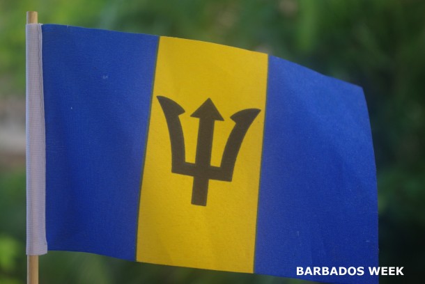 Barbados flag  (15)