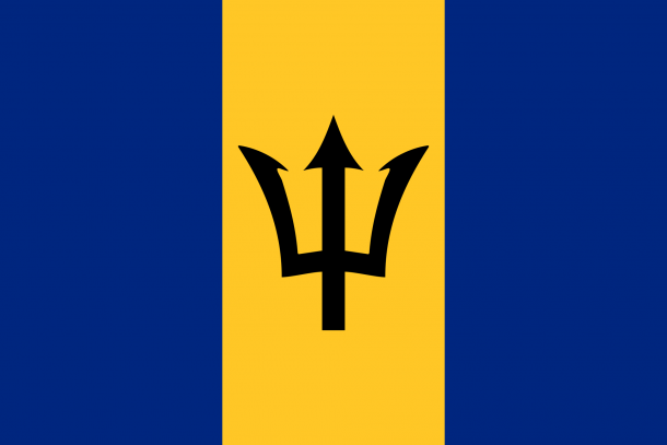 Barbados flag  (3)