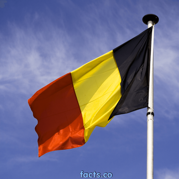 Belgium Flag (10)