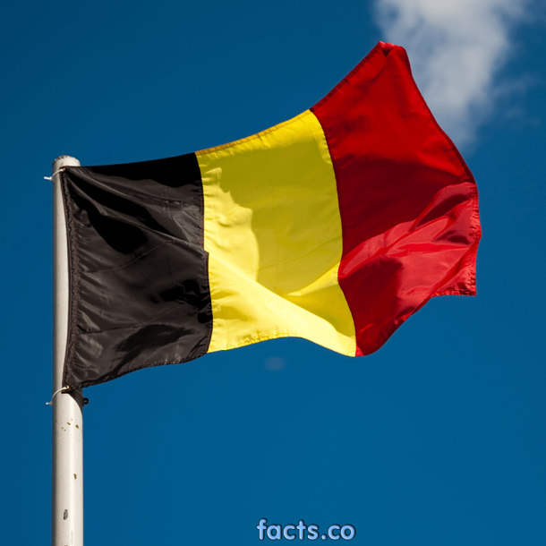 Belgium Flag (12)