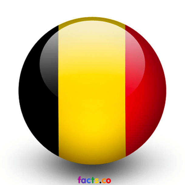 Belgium Flag (4)