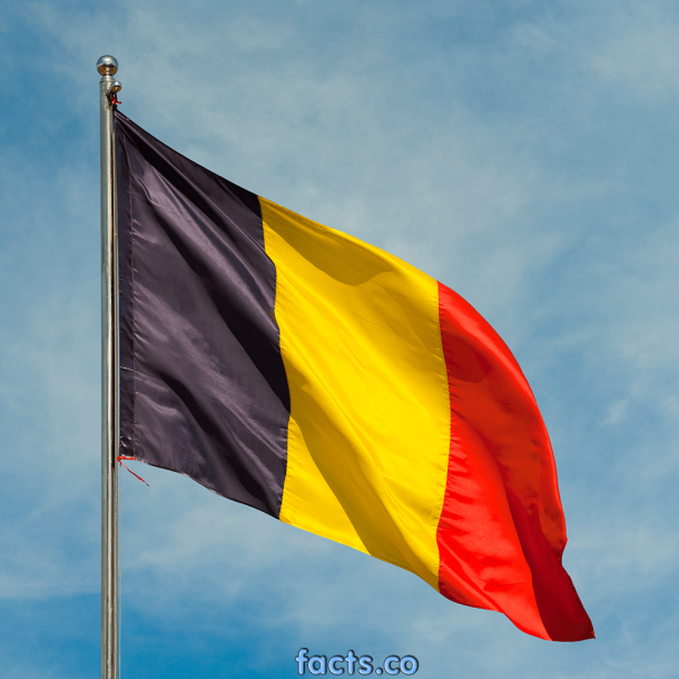 Belgium Flag (8)