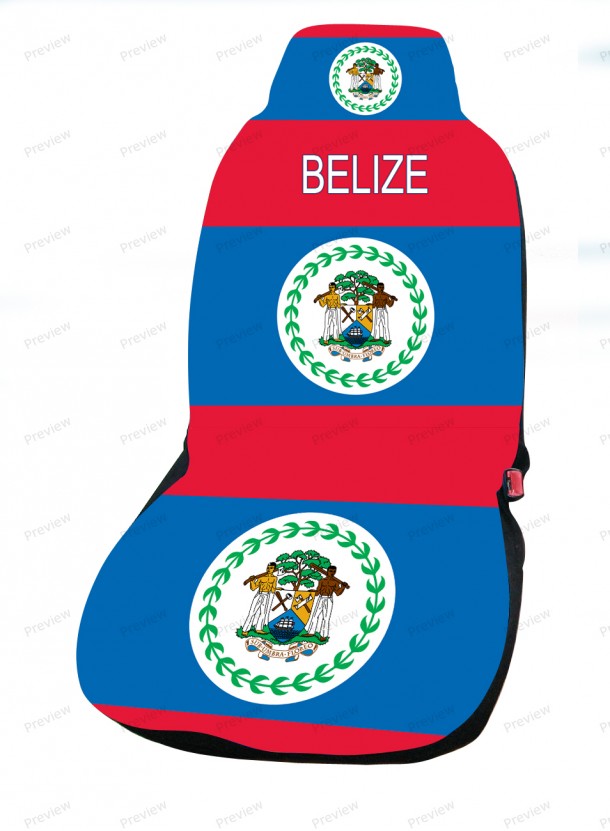 Belize Flag  (21)