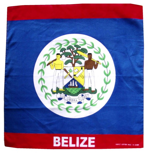 Belize Flag  (3)