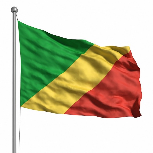 Benin Flag  (15)