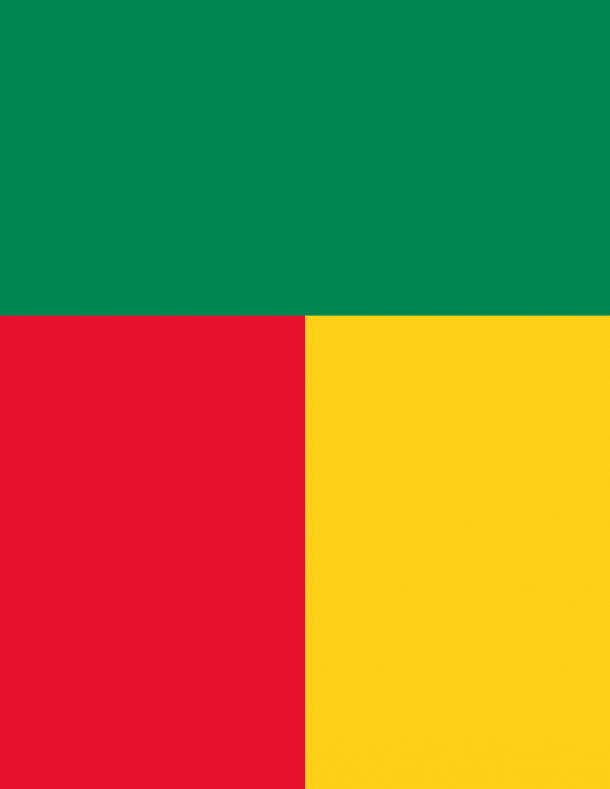 Benin Flag  (4)