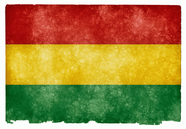 Bolivia Flag (5)