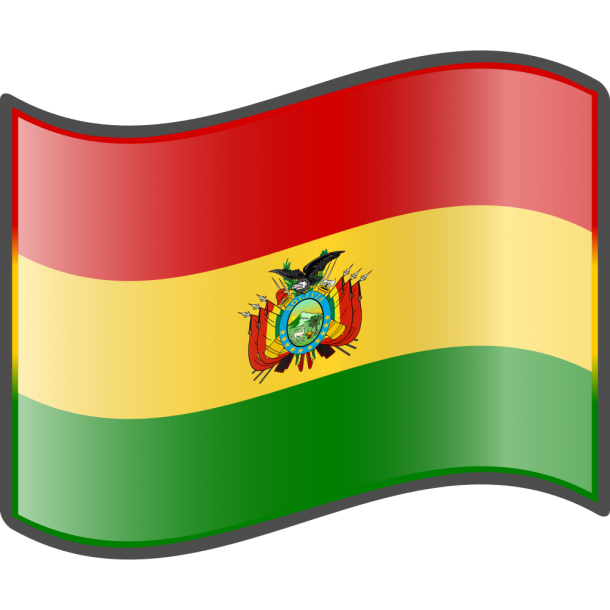 Bolivia Flag (9)