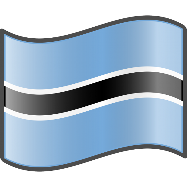 Botswana flag (6)