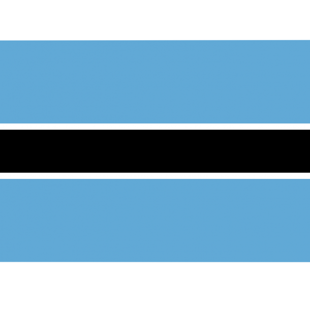 Botswana flag (8)