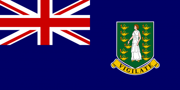 Flag of the British Virgin Islands  (12)
