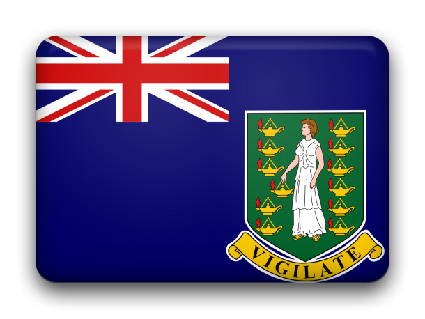 Flag of the British Virgin Islands  (13)