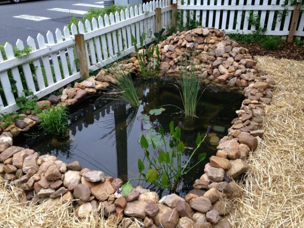 Learn How To Make An Inexpensive Pond For Your Front Yard 6