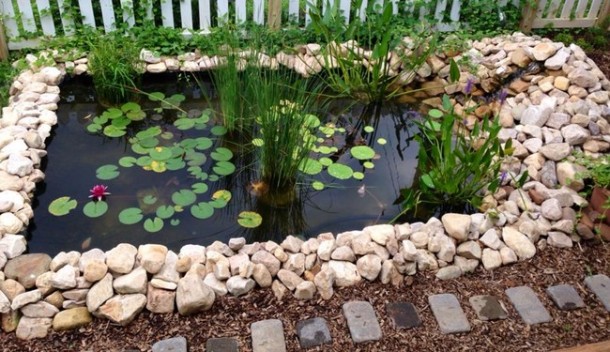 Learn How To Make An Inexpensive Pond For Your Front Yard 9