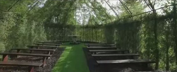 Tree Church Is Made Of Trees 2