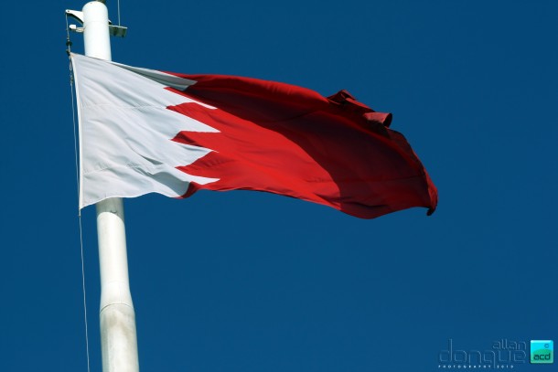 bahrain flag (17)