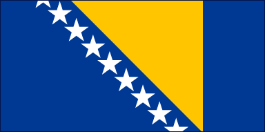 bosnia flag (1)