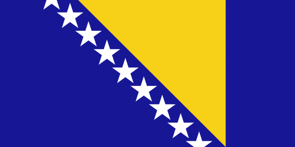 bosnia flag (2)