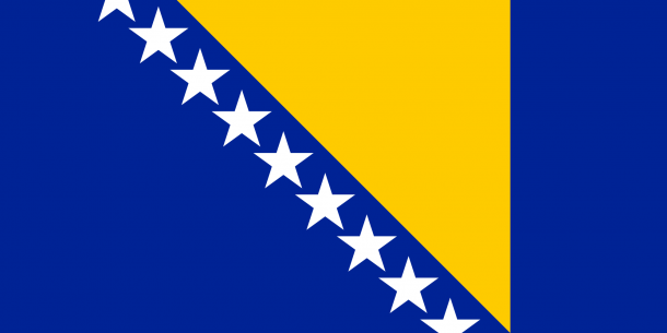 bosnia flag (8)