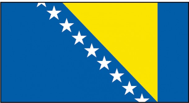bosnia flag (9)