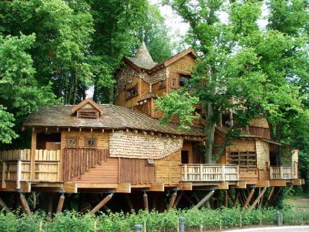 Amazing treehouse 10