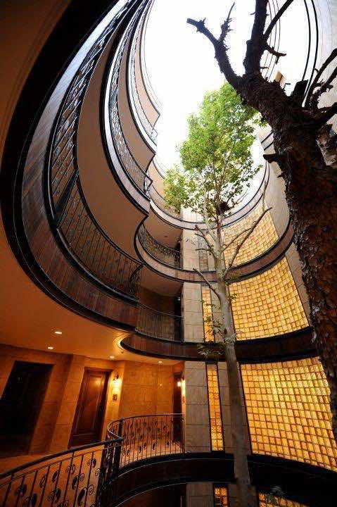 Amazing treehouse 15